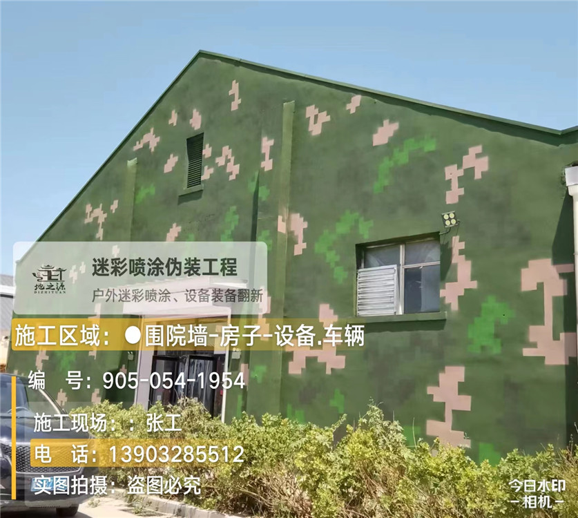 安康外墙数码迷彩漆施工报价清单（100㎡标准墙面测算）